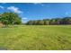 Expansive land featuring a mix of verdant grass and trees under a clear blue sky at 3011 Broughton Rd, Newborn, GA 30056