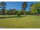 Open grass field dotted with trees under a brilliant sky, creating a serene and spacious landscape at 3011 Broughton Rd, Newborn, GA 30056