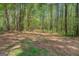 Wooded lot with a path showing access and the ability for recreation or building at 3011 Broughton Rd, Newborn, GA 30056