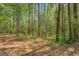 Lush wooded lot with mature trees, offering a tranquil setting for a home or nature retreat at 3011 Broughton Rd, Newborn, GA 30056