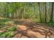 Wooded lot with mixture of leafy undergrowth ready for building or recreational use at 3011 Broughton Rd, Newborn, GA 30056