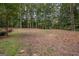 Vacant lot showing the expansive potential with surrounding lush, mature trees at 107 Rolling Grn, Peachtree City, GA 30269