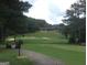 View of the community golf course at 107 Rolling Grn, Peachtree City, GA 30269