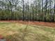 Gorgeous grassy lawn with privacy provided by a dense forest backdrop at 4601 Parkwood Rd, Social Circle, GA 30025