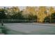 Community tennis courts surrounded by trees and a fence, offering a recreational amenity at 1090 Crown River Pkwy, Mcdonough, GA 30252