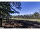 Expansive backyard with green grass, mature trees, and a serene atmosphere at 689 Hardin Rd, Temple, GA 30179