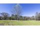View of a large grassy yard with mature trees and blue skies at 689 Hardin Rd, Temple, GA 30179