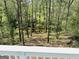 Relaxing wooded view from the home's deck. Enjoy this scenic vista any time of year at 2481 Weatherstone Cir, Conyers, GA 30094