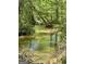 Natural creek amidst verdant trees, flowing water, and an abundance of lush foliage and undergrowth in the surround at 2481 Weatherstone Cir, Conyers, GA 30094
