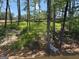View of the serene backyard with a lush lawn, trees, and wooded backdrop at 3383 Milan Ct # 4 Plapprox Sqft 1, Douglasville, GA 30135