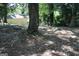 Backyard features mature trees, offering potential for a serene outdoor environment at 346 Schoen Se St, Atlanta, GA 30315