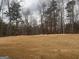 A sloped backyard with trees at 5318 Tolar Rd # 25, South Fulton, GA 30213