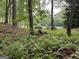 Lush backyard with mature trees and a relaxing picnic table overlooking the serene water at 191 Tumlin Creek Rd # 1, Roopville, GA 30170