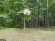 Outdoor basketball hoop amidst lush greenery on the property, offering recreational opportunities at 191 Tumlin Creek Rd # 1, Roopville, GA 30170