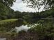 Picturesque view of the lake bordered by trees and vegetation with a grassy area in the foreground at 191 Tumlin Creek Rd # 1, Roopville, GA 30170