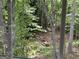 Window view capturing a private picnic area nestled among lush trees at 191 Tumlin Creek Rd # 1, Roopville, GA 30170
