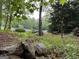 Picturesque outdoor space with picnic table and swing, creating a peaceful retreat at 191 Tumlin Creek Rd # 1, Roopville, GA 30170