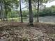 Scenic pond view framed by mature trees, enhancing the property's natural beauty at 191 Tumlin Creek Rd # 1, Roopville, GA 30170