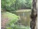 Scenic view of the peaceful pond and wooded surroundings, creating a tranquil atmosphere at 191 Tumlin Creek Rd # 1, Roopville, GA 30170