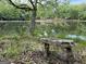 Tranquil view of a pond with bench seating and lush trees at 191 Tumlin Creek Rd # 1, Roopville, GA 30170