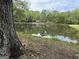Stunning view of the tranquil pond through the trees, creating a serene and picturesque setting at 191 Tumlin Creek Rd # 1, Roopville, GA 30170
