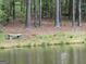 Waterfront view with mature trees and a stone bench along the tranquil water's edge at 191 Tumlin Creek Rd # 1, Roopville, GA 30170