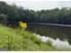 Scenic waterfront view featuring lush greenery and a calm water surface, perfect for relaxation at 191 Tumlin Creek Rd # 1, Roopville, GA 30170
