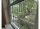 Scenic view of the lake framed by mature trees, seen through a window at 191 Tumlin Creek Rd # 1, Roopville, GA 30170