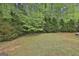 Scenic backyard with verdant trees and shrubs surrounding the grounds, offering natural beauty at 115 Ebenezer Church Rd, Fayetteville, GA 30215