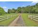Long private driveway leading to a charming home, bordered by white fencing and lush green fields at 115 Ebenezer Church Rd, Fayetteville, GA 30215