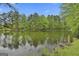 Scenic view of the pond surrounded by lush greenery and mature trees at 115 Ebenezer Church Rd, Fayetteville, GA 30215