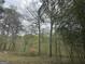 Lush backyard with mature trees offering privacy and a touch of nature at 130 Sandy Dr, Stockbridge, GA 30281