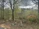 View of the property's backyard and lake from beneath the trees at 130 Sandy Dr, Stockbridge, GA 30281