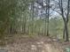 Wooded area on property with a pathway of stones, mature trees, and serene lake view at 130 Sandy Dr, Stockbridge, GA 30281