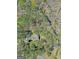 Overhead view of a home, showcasing its private wooded surroundings and secluded location from above at 150 Mary Lynn Ln, Fayetteville, GA 30214