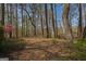 Backyard featuring a variety of trees and flowering plants providing a peaceful and private setting at 150 Mary Lynn Ln, Fayetteville, GA 30214