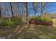Lush backyard with colorful azalea bushes creating a vibrant and inviting outdoor space at 150 Mary Lynn Ln, Fayetteville, GA 30214