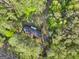 Aerial view of the property featuring a house surrounded by dense trees along a quiet road at 242 Hickory Rd, Fayetteville, GA 30214