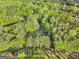 An aerial view of lush wooded property, highlighting the extensive green canopy and natural landscape at 242 Hickory Rd, Fayetteville, GA 30214