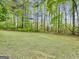 Expansive green backyard surrounded by trees at 242 Hickory Rd, Fayetteville, GA 30214