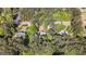 Aerial view of the property showcasing its location amidst lush greenery at 653 Locust Rd, Locust Grove, GA 30248