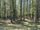 Lush backyard featuring mature trees providing shade and a serene natural setting for relaxation at 183 Busbin Rd, Fayetteville, GA 30215