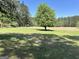 Large green backyard with tall trees offers shade and open space, perfect for outdoor activities and enjoyment at 183 Busbin Rd, Fayetteville, GA 30215