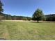 Expansive backyard with a single mature tree offers ample green space, framed by woods, enhancing the sense of privacy at 183 Busbin Rd, Fayetteville, GA 30215