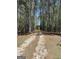 Long, scenic driveway lined with mature trees, leading to a secluded and peaceful homesite at 183 Busbin Rd, Fayetteville, GA 30215
