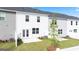 New construction townhome backyards with white picket fences, lush green lawns, and small patio at 2761 Honey Locust Court, Loganville, GA 30052