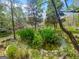 Lush backyard pond surrounded by greenery, offering a peaceful outdoor retreat at 100 Little Creek Dr, Sharpsburg, GA 30277