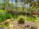 Serene backyard pond with lush vegetation, stone accents, and natural surroundings at 100 Little Creek Dr, Sharpsburg, GA 30277