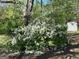 Landscaped yard featuring a flowering bush and ornamental wind spinner, adding charm at 5183 Jones Ct, Morrow, GA 30260