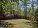 Expansive backyard with meticulously maintained lawn, surrounded by mature trees and colorful azaleas at 210 Sweetwater Dr, Fayetteville, GA 30214